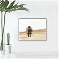 Picture of Sandy Desert  _GroupedProduct_Rectangle_Landscape_Photography _GroupedProduct_Rectangle_Landscape_Canvas_Framed_