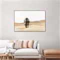 Picture of Sandy Desert  _GroupedProduct_Rectangle_Landscape_Photography _GroupedProduct_Rectangle_Landscape_Canvas_Framed_