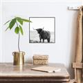 Picture of Scottish Fields Highland B&W _GroupedProduct_Square_Photography _GroupedProduct_Square_Canvas_Framed_