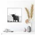 Picture of Scottish Fields Highland B&W _GroupedProduct_Square_Photography _GroupedProduct_Square_Canvas_Framed_