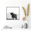 Picture of Scottish Fields Highland B&W _GroupedProduct_Square_Photography _GroupedProduct_Square_Canvas_Framed_