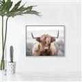 Picture of Hairy Brown _GroupedProduct_Rectangle_Landscape_Photography _GroupedProduct_Rectangle_Landscape_Canvas_Framed_