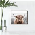 Picture of Hairy Brown _GroupedProduct_Rectangle_Landscape_Photography _GroupedProduct_Rectangle_Landscape_Canvas_Framed_