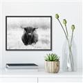 Picture of Hiding in the Grass _GroupedProduct_Rectangle_Landscape_Photography _GroupedProduct_Rectangle_Landscape_Canvas_Framed_