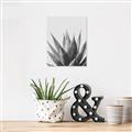 Picture of Cactus Succulent _GroupedProduct_Rectangle_Portrait_Photography _GroupedProduct_Rectangle_Portrait_Unframed_Print_Only_