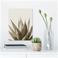 Picture of Cactus Succulent _GroupedProduct_Rectangle_Portrait_Photography _GroupedProduct_Rectangle_Portrait_Unframed_Print_Only_