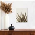Picture of Cactus Succulent _GroupedProduct_Rectangle_Portrait_Photography _GroupedProduct_Rectangle_Portrait_Unframed_Print_Only_