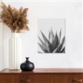 Picture of Cactus Succulent _GroupedProduct_Rectangle_Portrait_Photography _GroupedProduct_Rectangle_Portrait_Unframed_Print_Only_