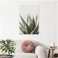 Picture of Cactus Succulent _GroupedProduct_Rectangle_Portrait_Photography _GroupedProduct_Rectangle_Portrait_Unframed_Print_Only_