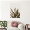 Picture of Cactus Succulent _GroupedProduct_Rectangle_Portrait_Photography _GroupedProduct_Rectangle_Portrait_Unframed_Print_Only_