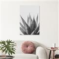 Picture of Cactus Succulent _GroupedProduct_Rectangle_Portrait_Photography _GroupedProduct_Rectangle_Portrait_Unframed_Print_Only_