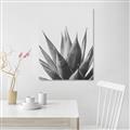 Picture of Cactus Succulent _GroupedProduct_Rectangle_Portrait_Photography _GroupedProduct_Rectangle_Portrait_Unframed_Print_Only_