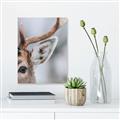Picture of Eye of the Deer _GroupedProduct_Rectangle_Portrait_Photography _GroupedProduct_Rectangle_Portrait_Unframed_Print_Only_