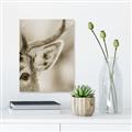 Picture of Eye of the Deer _GroupedProduct_Rectangle_Portrait_Photography _GroupedProduct_Rectangle_Portrait_Unframed_Print_Only_