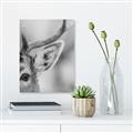 Picture of Eye of the Deer _GroupedProduct_Rectangle_Portrait_Photography _GroupedProduct_Rectangle_Portrait_Unframed_Print_Only_