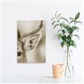 Picture of Eye of the Deer _GroupedProduct_Rectangle_Portrait_Photography _GroupedProduct_Rectangle_Portrait_Unframed_Print_Only_