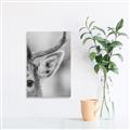 Picture of Eye of the Deer _GroupedProduct_Rectangle_Portrait_Photography _GroupedProduct_Rectangle_Portrait_Unframed_Print_Only_