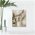 Picture of Eye of the Deer _GroupedProduct_Rectangle_Portrait_Photography _GroupedProduct_Rectangle_Portrait_Unframed_Print_Only_