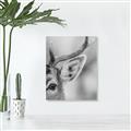 Picture of Eye of the Deer _GroupedProduct_Rectangle_Portrait_Photography _GroupedProduct_Rectangle_Portrait_Unframed_Print_Only_