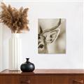 Picture of Eye of the Deer _GroupedProduct_Rectangle_Portrait_Photography _GroupedProduct_Rectangle_Portrait_Unframed_Print_Only_