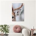 Picture of Eye of the Deer _GroupedProduct_Rectangle_Portrait_Photography _GroupedProduct_Rectangle_Portrait_Unframed_Print_Only_