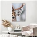 Picture of Eye of the Deer _GroupedProduct_Rectangle_Portrait_Photography _GroupedProduct_Rectangle_Portrait_Unframed_Print_Only_