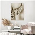 Picture of Eye of the Deer _GroupedProduct_Rectangle_Portrait_Photography _GroupedProduct_Rectangle_Portrait_Unframed_Print_Only_
