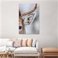 Picture of Eye of the Deer _GroupedProduct_Rectangle_Portrait_Photography _GroupedProduct_Rectangle_Portrait_Unframed_Print_Only_