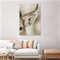 Picture of Eye of the Deer _GroupedProduct_Rectangle_Portrait_Photography _GroupedProduct_Rectangle_Portrait_Unframed_Print_Only_