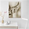 Picture of Eye of the Deer _GroupedProduct_Rectangle_Portrait_Photography _GroupedProduct_Rectangle_Portrait_Unframed_Print_Only_