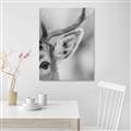 Picture of Eye of the Deer _GroupedProduct_Rectangle_Portrait_Photography _GroupedProduct_Rectangle_Portrait_Unframed_Print_Only_