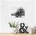 Picture of Wall with Palm Tree _GroupedProduct_Rectangle_Landscape_Photography _GroupedProduct_Rectangle_Landscape_Unframed_Print_Only_
