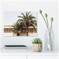 Picture of Wall with Palm Tree _GroupedProduct_Rectangle_Landscape_Photography _GroupedProduct_Rectangle_Landscape_Unframed_Print_Only_