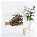 Picture of Wall with Palm Tree _GroupedProduct_Rectangle_Landscape_Photography _GroupedProduct_Rectangle_Landscape_Unframed_Print_Only_