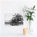 Picture of Wall with Palm Tree _GroupedProduct_Rectangle_Landscape_Photography _GroupedProduct_Rectangle_Landscape_Unframed_Print_Only_