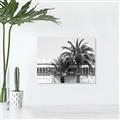 Picture of Wall with Palm Tree _GroupedProduct_Rectangle_Landscape_Photography _GroupedProduct_Rectangle_Landscape_Unframed_Print_Only_