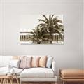 Picture of Wall with Palm Tree _GroupedProduct_Rectangle_Landscape_Photography _GroupedProduct_Rectangle_Landscape_Unframed_Print_Only_