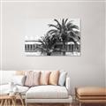 Picture of Wall with Palm Tree _GroupedProduct_Rectangle_Landscape_Photography _GroupedProduct_Rectangle_Landscape_Unframed_Print_Only_