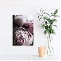 Picture of Blush Bloom _GroupedProduct_Rectangle_Portrait_Photography _GroupedProduct_Rectangle_Portrait_Unframed_Print_Only_