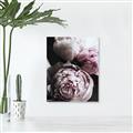 Picture of Blush Bloom _GroupedProduct_Rectangle_Portrait_Photography _GroupedProduct_Rectangle_Portrait_Unframed_Print_Only_