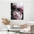 Picture of Blush Bloom _GroupedProduct_Rectangle_Portrait_Photography _GroupedProduct_Rectangle_Portrait_Unframed_Print_Only_