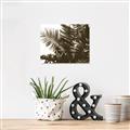 Picture of Fern Garden  _GroupedProduct_Rectangle_Landscape_Photography _GroupedProduct_Rectangle_Landscape_Unframed_Print_Only_
