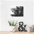 Picture of Fern Garden  _GroupedProduct_Rectangle_Landscape_Photography _GroupedProduct_Rectangle_Landscape_Unframed_Print_Only_