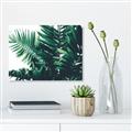 Picture of Fern Garden  _GroupedProduct_Rectangle_Landscape_Photography _GroupedProduct_Rectangle_Landscape_Unframed_Print_Only_