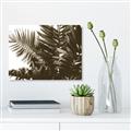 Picture of Fern Garden  _GroupedProduct_Rectangle_Landscape_Photography _GroupedProduct_Rectangle_Landscape_Unframed_Print_Only_