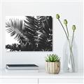 Picture of Fern Garden  _GroupedProduct_Rectangle_Landscape_Photography _GroupedProduct_Rectangle_Landscape_Unframed_Print_Only_