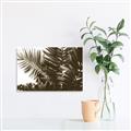 Picture of Fern Garden  _GroupedProduct_Rectangle_Landscape_Photography _GroupedProduct_Rectangle_Landscape_Unframed_Print_Only_