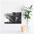 Picture of Fern Garden  _GroupedProduct_Rectangle_Landscape_Photography _GroupedProduct_Rectangle_Landscape_Unframed_Print_Only_