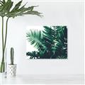 Picture of Fern Garden  _GroupedProduct_Rectangle_Landscape_Photography _GroupedProduct_Rectangle_Landscape_Unframed_Print_Only_