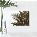 Picture of Fern Garden  _GroupedProduct_Rectangle_Landscape_Photography _GroupedProduct_Rectangle_Landscape_Unframed_Print_Only_